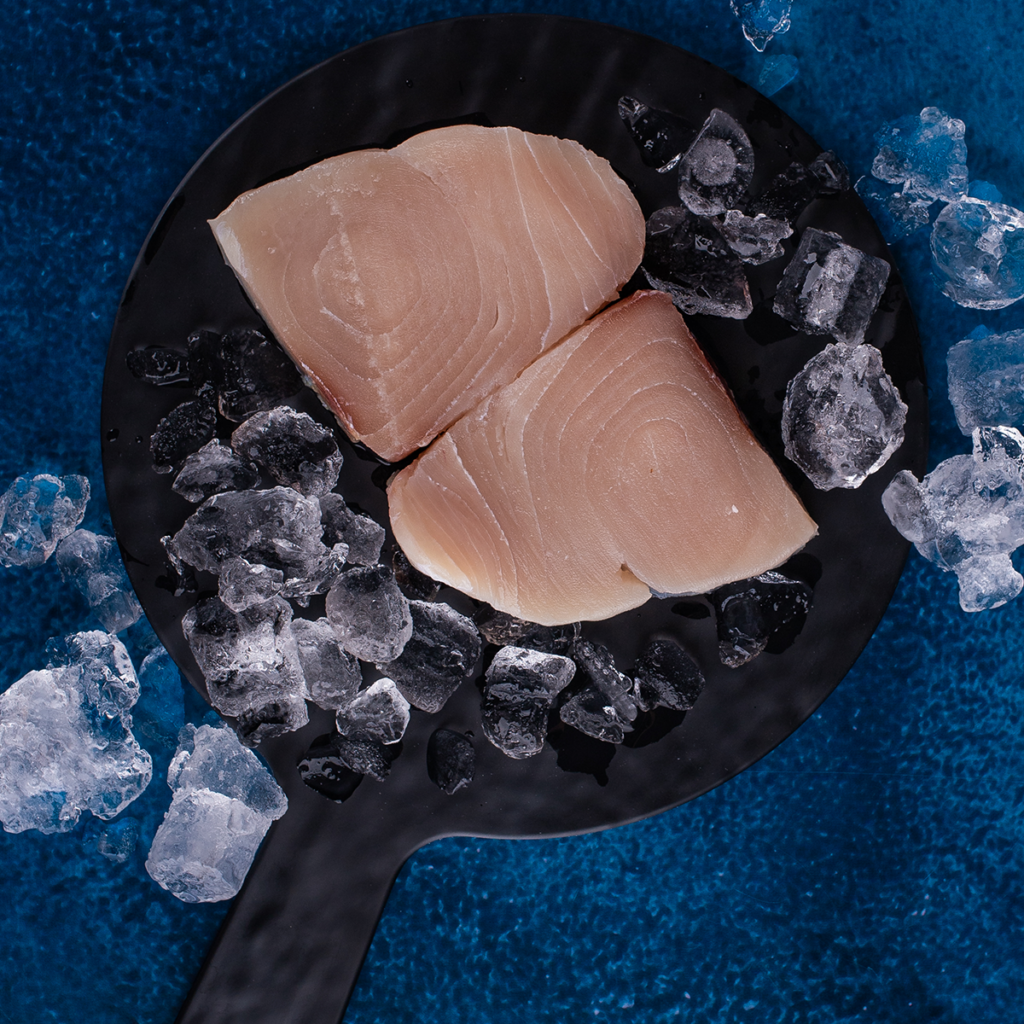 Picudo – Guayaquil Fish Market