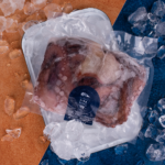 Pulpo entero crudo